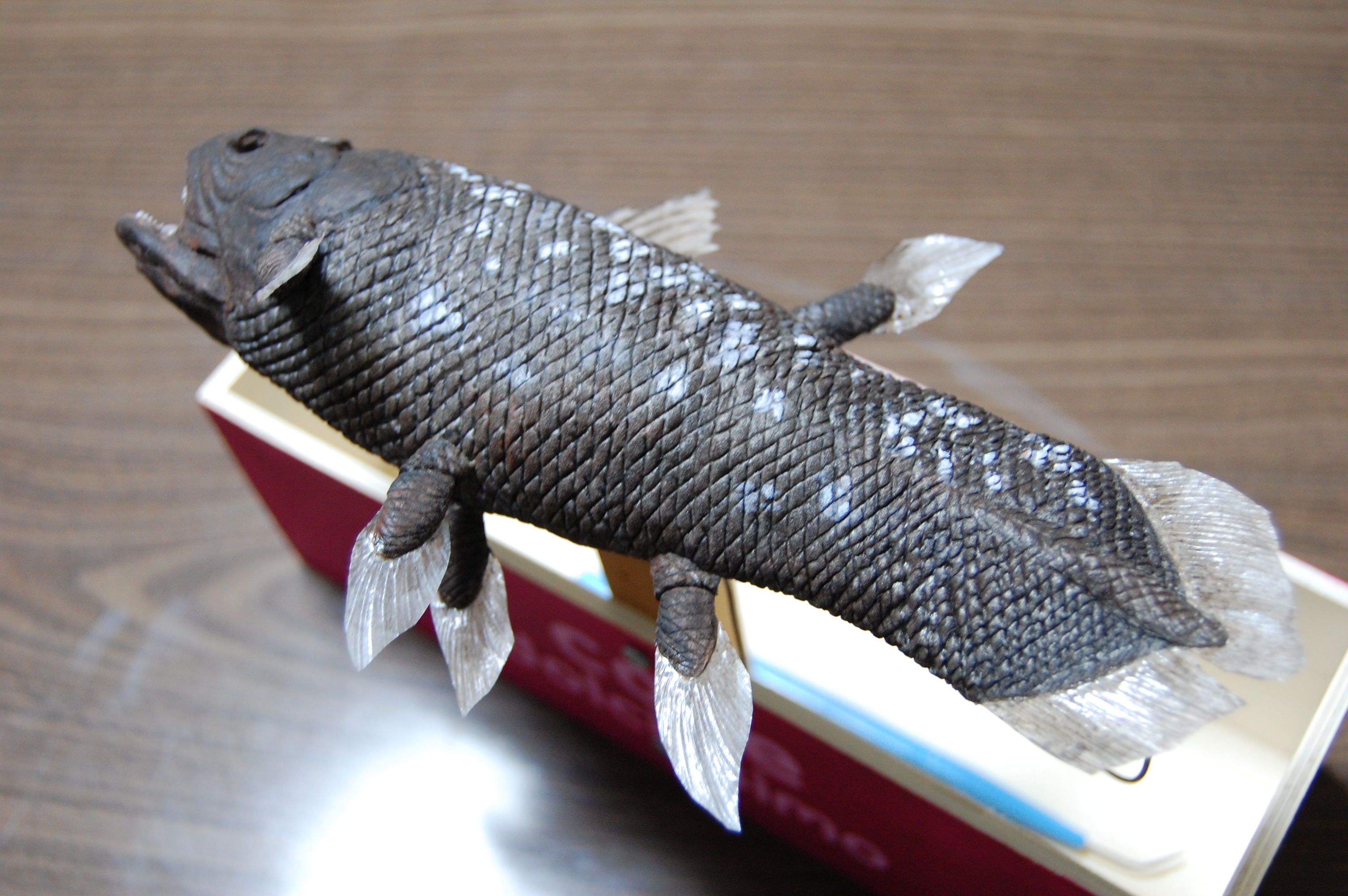 映画用工作・浜に打ち上げられたシーラカンスのシーン | MVG博物館